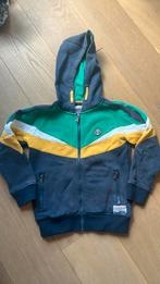 Vest met capuchon maat 140 Vingino, Ophalen of Verzenden, Zo goed als nieuw, Jongen, Trui of Vest