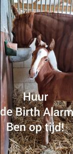 Birth Alarm te huur, Dieren en Toebehoren, Paarden en Pony's | Overige Paardenspullen, Gebruikt, Ophalen