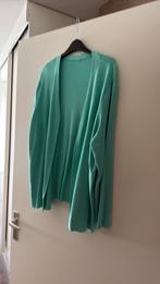 Kleding maat xl xxl, Ophalen of Verzenden, Gedragen