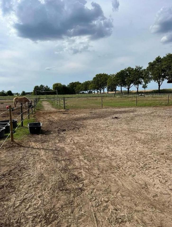 Pension stalling voor 1 merrie, Dieren en Toebehoren, Stalling en Weidegang, Stalling