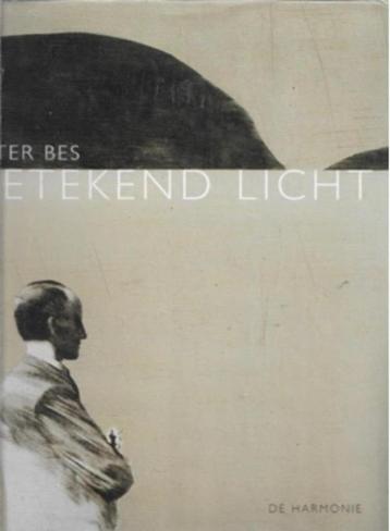 Peter Bes Getekend licht beschikbaar voor biedingen