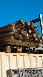 Celfix Palen 180 x 10 cm, Ophalen of Verzenden, Nieuw, 180 tot 250 cm, Palen