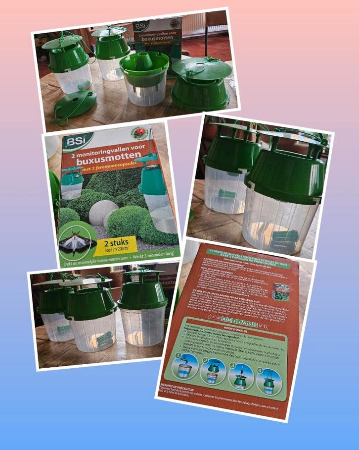 3 Buxusmot feromoon val, controle buxus struik +extra parts!, Tuin en Terras, Planten | Struiken en Hagen, Struik, Buxus, 100 tot 250 cm