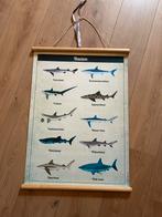 Poster kinderkamer, Antiek en Kunst, Ophalen, Overige thema's