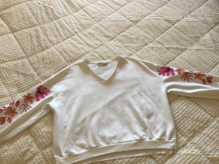 Smith & Soul Trui wit met geborduurde bloemen * maat L, Kleding | Dames, Truien en Vesten, Gedragen, Maat 38/40 (M), Wit, Ophalen of Verzenden