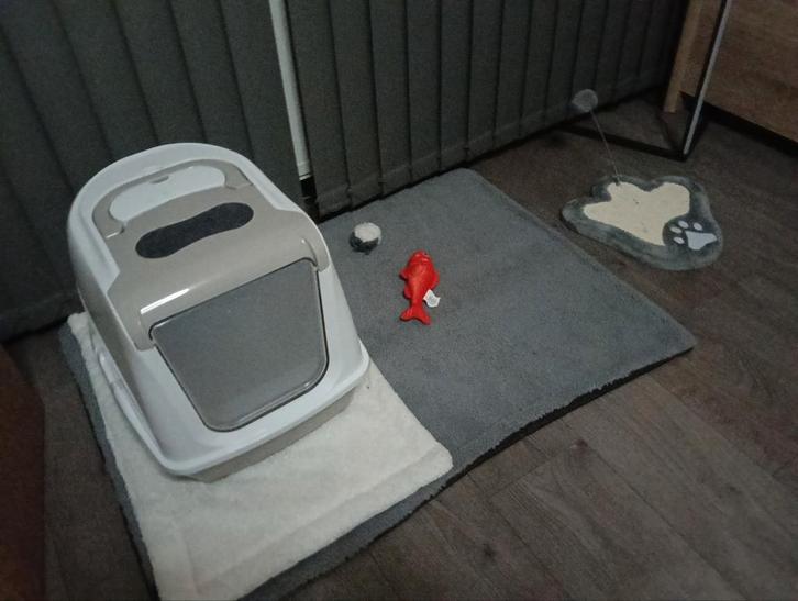 Te koop kattenbakken en poes incl spullen, Dieren en Toebehoren, Kattenmanden, Ophalen