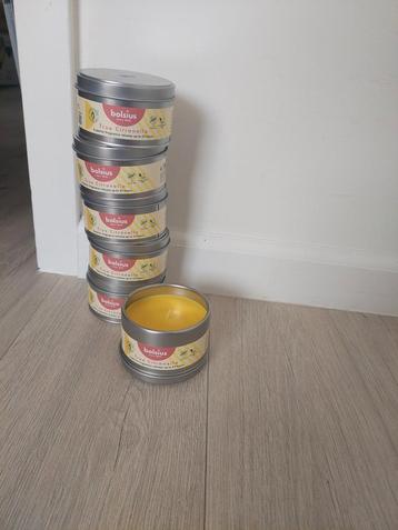 Bolsius True Citronella Kaarsen - 6 stuks beschikbaar voor biedingen