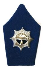 Patch - Kraag Embleem Rijkspolitie, Verzamelen, Ophalen, Overige soorten, Nederland, Embleem of Badge