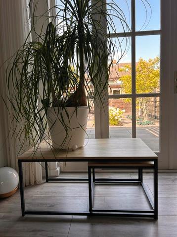 Salontafel set met bijzettafels beschikbaar voor biedingen