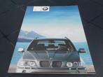 BMW X5 Brochure, BMW, Zo goed als nieuw, Verzenden
