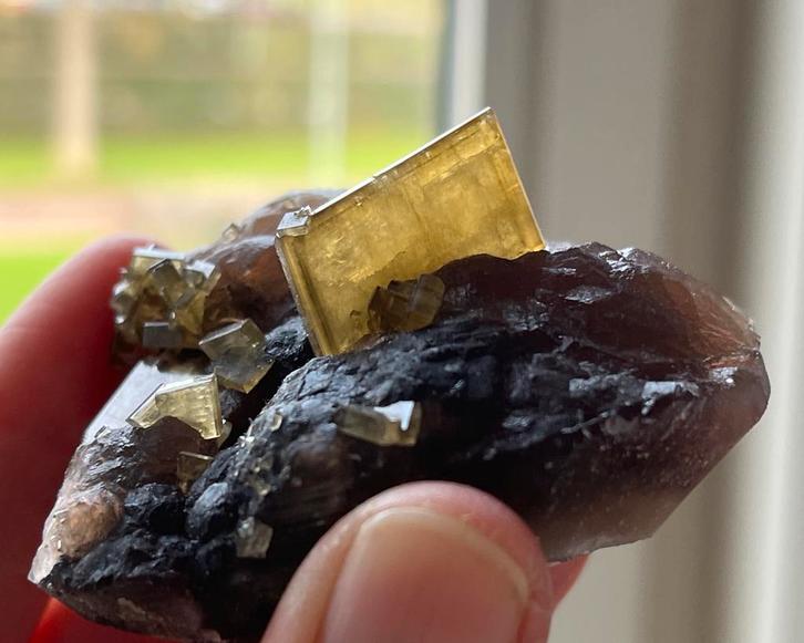 Goudgele bariet op fluoriet uit Xiefang, China, Verzamelen, Mineralen en Fossielen, Ophalen of Verzenden