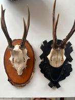 Twee geweitjes op schild, Ophalen of Verzenden, Gebruikt