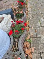 6x Plantenbakken Tuin - 60x40cm - Gratis!, Tuin en Terras, Bloembakken en Plantenbakken, Ophalen