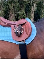 Wintec Spring zadel 17,5 inch, Dieren en Toebehoren, Ophalen of Verzenden