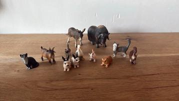Echte schleich dieren beschikbaar voor biedingen