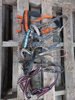 6 ponyhalsters, Ophalen of Verzenden, Gebruikt, Overige soorten