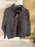 French Connection zomerjas, Maat 48/50 (M), Nieuw, Ophalen of Verzenden, French connection