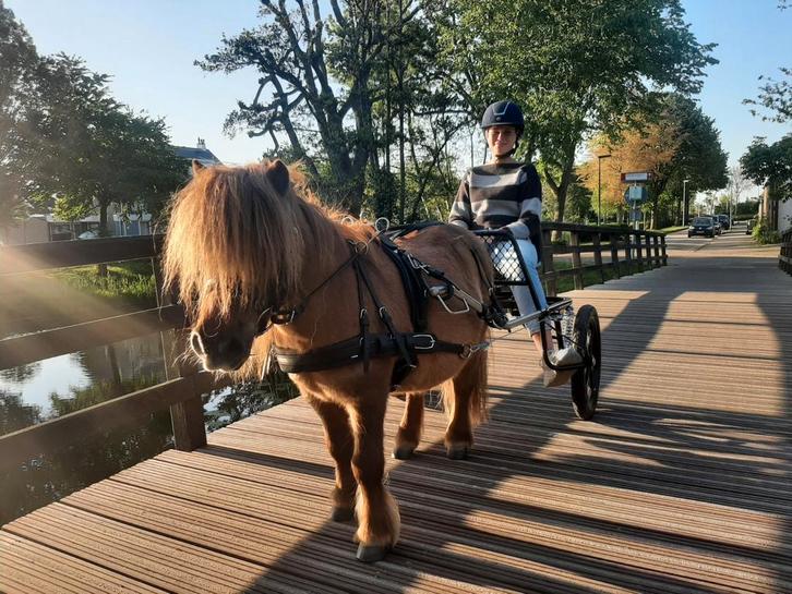 Hca sulky, Dieren en Toebehoren, Paarden en Pony's | Overige Paardenspullen, Ophalen