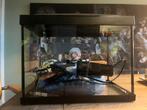 Leuk complete aquarium 20L, Ophalen of Verzenden, Zo goed als nieuw, Leeg aquarium