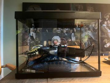 Leuk complete aquarium 20L beschikbaar voor biedingen