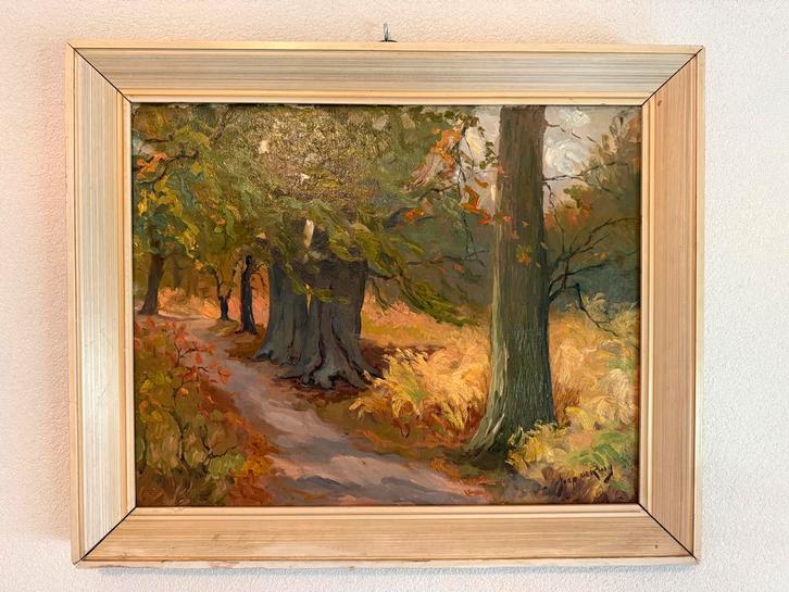 Jaap de Ruig mooi schilderij ( Bospad ), Antiek en Kunst, Kunst | Schilderijen | Klassiek, Ophalen of Verzenden