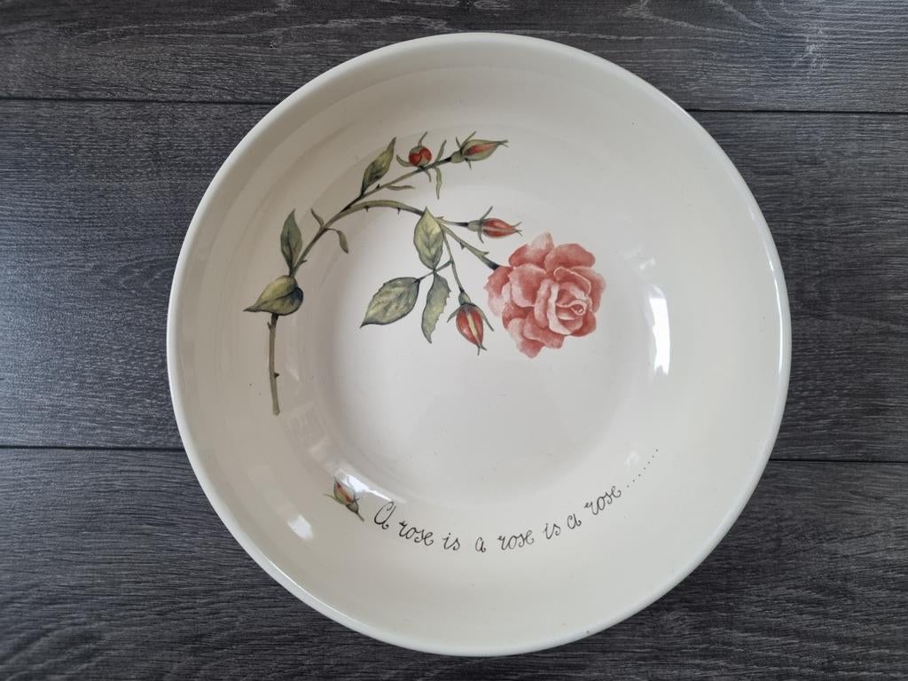 Mooi grote schaal Jet Ter Steege A rose is a rose, Huis en Inrichting, Keuken | Servies, Ophalen of Verzenden, Overige stijlen
