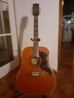 12 snarige gitaar merk: Eko, Muziek en Instrumenten, Ophalen, Gebruikt, Overige typen