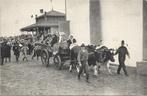 Ossenkar, Set van 2 kaarten, Verzenden, Voor 1920, Ongelopen, Overige thema's