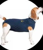 Honden jasje medisch, Dieren en Toebehoren, Ophalen of Verzenden, Zo goed als nieuw, Hondenjas