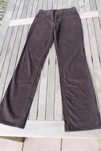 Mooie bruine Tommy Hilfiger broek maat 6 (=36/S), Kleding | Dames, Broeken en Pantalons, Tommy Hilfiger, Lang, Bruin, Zo goed als nieuw