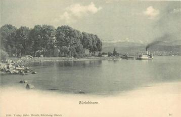 (701-273-033) Zurichhorn beschikbaar voor biedingen