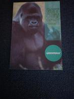 aap - GORILLA, Ophalen of Verzenden, Ongelopen, Wild dier
