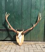 Groot gewei edelhert op schild, Ophalen, Gebruikt