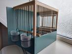 Kooien te koop, Dieren en Toebehoren, Vogels | Kanaries, Meerdere dieren, Kleurkanarie