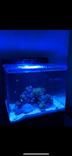 Blue Marine 90 / Red Sea 50 Reefled, Dieren en Toebehoren, Vissen | Aquaria en Toebehoren, Ophalen, Zo goed als nieuw, Verlichting of Verwarming