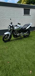 Te koop mooie honda cb 600F hornet, Motoren, 4 cilinders, Particulier, Meer dan 35 kW, Naked bike