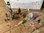 Playmobil dolfinarium, Ophalen of Verzenden