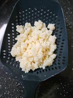 Kefir  melkkefir "yoghurtplantje", Diversen, Levensmiddelen, Ophalen