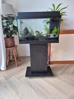 Aquarium Juwel 60 liter complete set, Dieren en Toebehoren, Vissen | Aquaria en Toebehoren, Ophalen, Zo goed als nieuw, Gevuld zoetwateraquarium