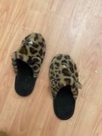 Pantoffeltjes panter, H&M, Bruin, Verzenden, Zo goed als nieuw