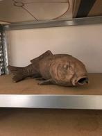 Karper Decoratie, Ophalen of Verzenden