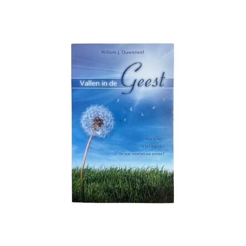 Vallen in de Geest |  W.J. Ouweneel, Boeken, Godsdienst en Theologie, Zo goed als nieuw, Christendom | Protestants, Ophalen of Verzenden