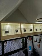 3delige broedkooi te koop, Dieren en Toebehoren, Ophalen, Gebruikt, Kunststof, Broedkooi of Kweekkooi