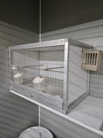 Kweekkooi, Ophalen, Gebruikt, Aluminium, Broedkooi of Kweekkooi