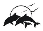 camper caravan bus sticker springende dolfijnen, The River House, Info@theriverhouse.nl, Nieuw, Ophalen of Verzenden