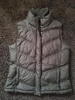 bruine bodywarmer, mt L, zgan, Ophalen of Verzenden, Zo goed als nieuw, Maat 38/40 (M), Bruin