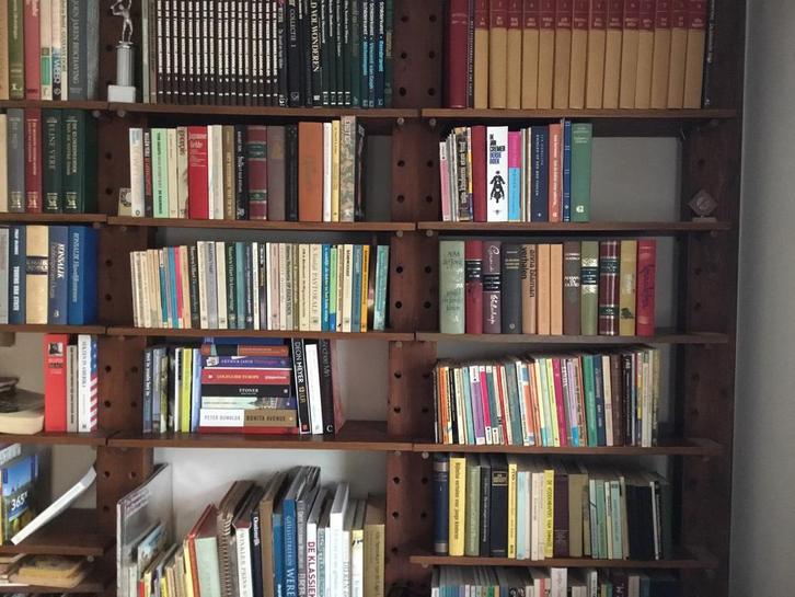 Boekenkast en boeken., Boeken, Romans, Gelezen, Ophalen of Verzenden
