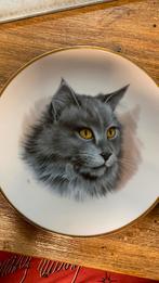 Wandbord poes/kat, Ophalen of Verzenden