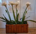 Groot bloemstuk, kerststuk met kunstbloemen amaryllis, Huis en Inrichting, Woonaccessoires | Kunstplanten en Kunstbloemen, Ophalen