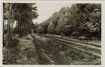 Leusden – Paradijsweg bij Ingeborg. Gelopen Leiden 1953. beschikbaar voor biedingen